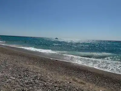 Amore Teki̇rova - 44