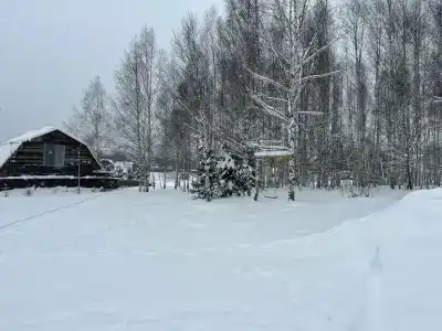 скульптора Эрьзи - 21