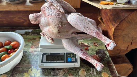 Уютный домик в Елдино - 58