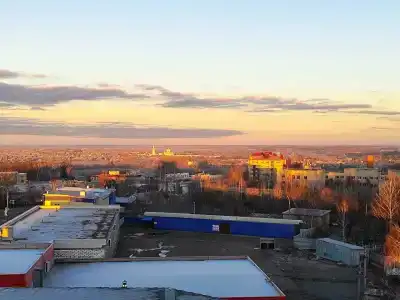 Пантера - 38