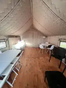 Птички - 26