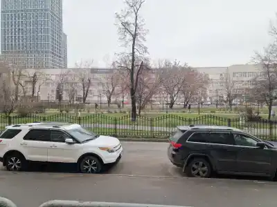 Рея Дубровка - 31