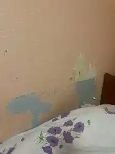 Кубань - 5