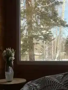 Тихий Кот - 29