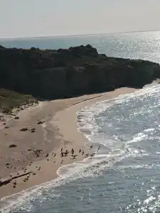 Генеральские домики - 46