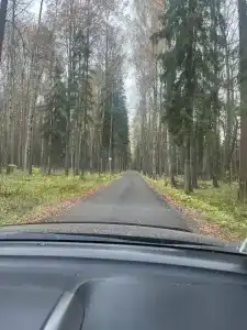 Жемчужина Золотого кольца - 95