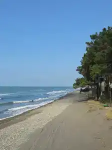 Mana-Mana - 4