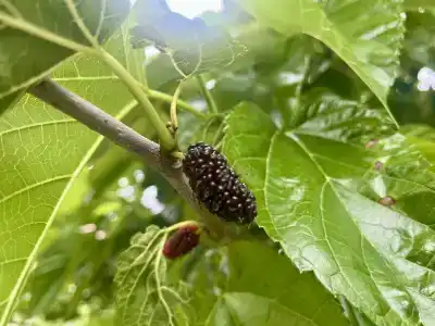 В гостях у Риты - 28