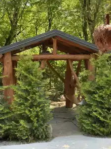 Шелест леса - 9