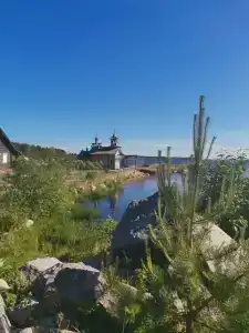 Онежский петроглиф - 14