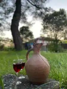 Фламинго - 14