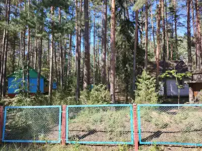 Вилия - 48