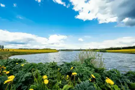 Королевская охота - 32