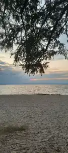 Байкальская Солянка - 23