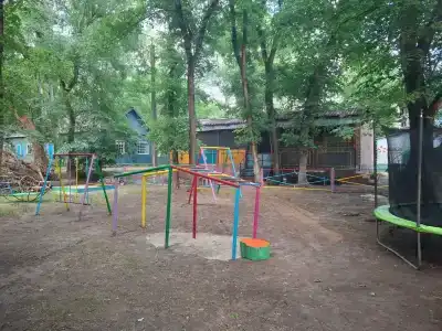 БоДи - 49