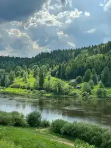 Лесная гармония - 21
