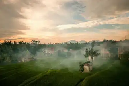 B Saya Villas - 7