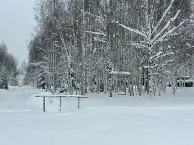 скульптора Эрьзи - 18