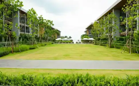 Renaissance Pattaya Resort & Spa - Sha Extra Plus - 41