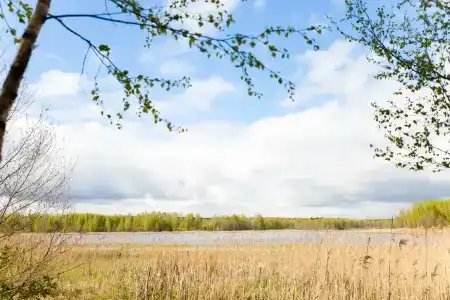 Сойма Парк - 39