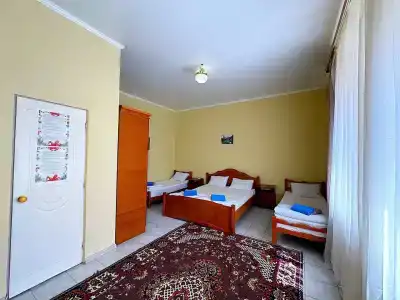 Вистерия - 14