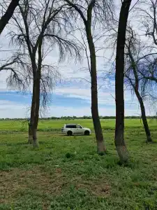 Заречная - 40