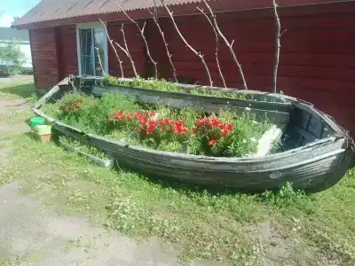 Длинный берег - 40