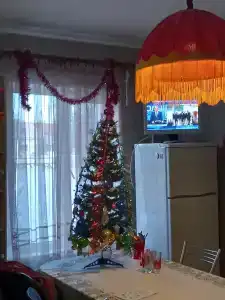 Ник - 1