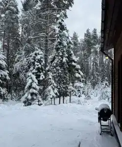 Karelia - 31