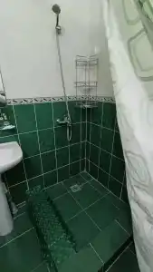 Золотой карп - 20