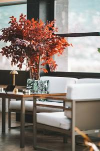 Almira Thermal Spa & Convention Center - 43