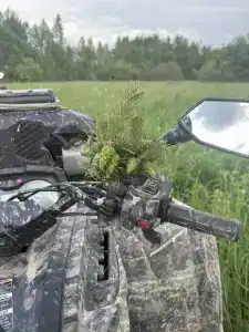 Буренкино Царство - 41