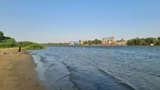 Камышовый Рай - 66