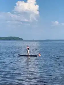 Коди Ярви - 5