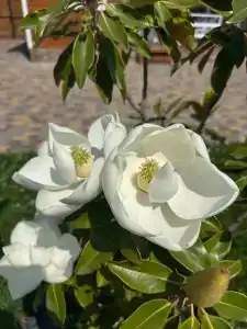 БухтаБарахта - 55