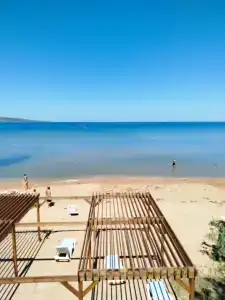 Амбассадор - 43