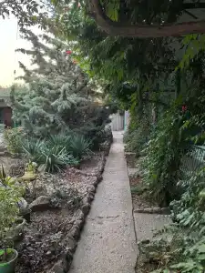 Ждём гостей - 10