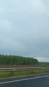 Андреевский - 37