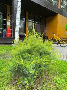 Eco Village Club - 41