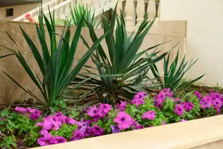 Пансионат Зенит - 53