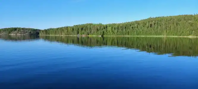 Нереис - 20