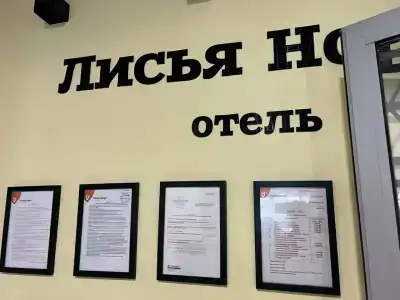 Лисья Нора - 19