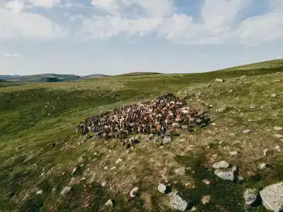 Олёнка лодж - 14