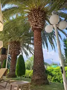 Truemars & Suites - 33