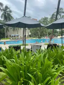 Palm Beach Resort & Spa - 48