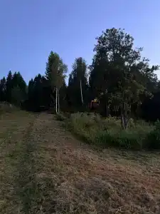 Рябинушка - 41