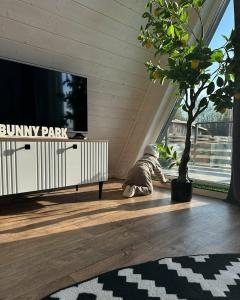 Bunny Park - 42