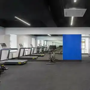 The Basilian Minsk, Curio Collection By Hilton - 38