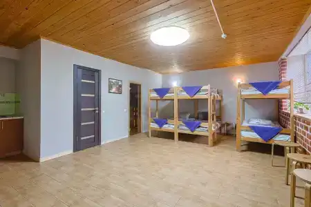ДМБ - 31