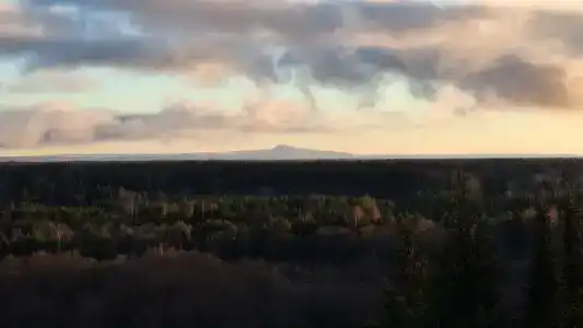 Охотничья слобода - 12